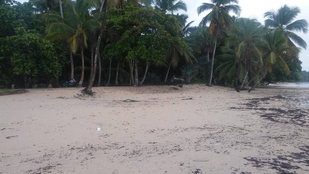 solares y terrenos - Vendo terreno en miche en primera línea de playa 146,400 2