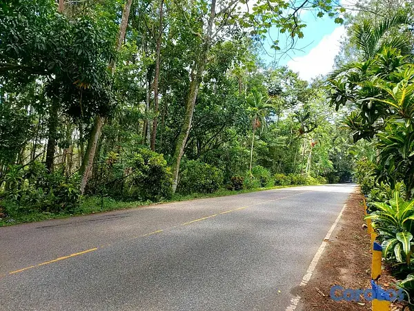 solares y terrenos - Jarabacoa 18,000 M2,  2