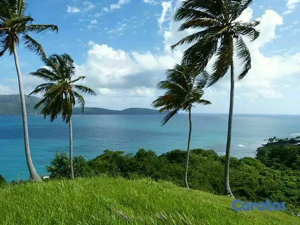 solares y terrenos - Se Vende Terreno con Playa Privada en Las Galeras, Samaná Samana 9
