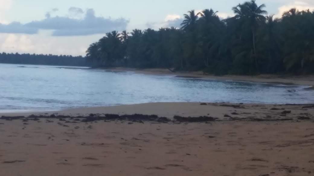 solares y terrenos - Vendo terreno en miche en primera línea de playa 146,400 6