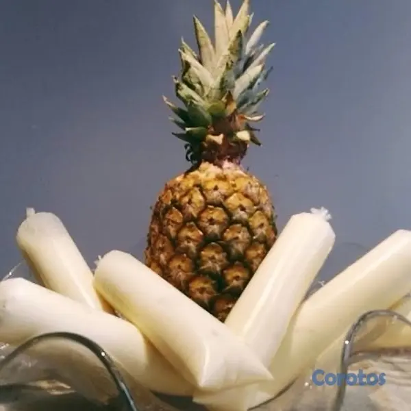 cocina - helados naturales  4