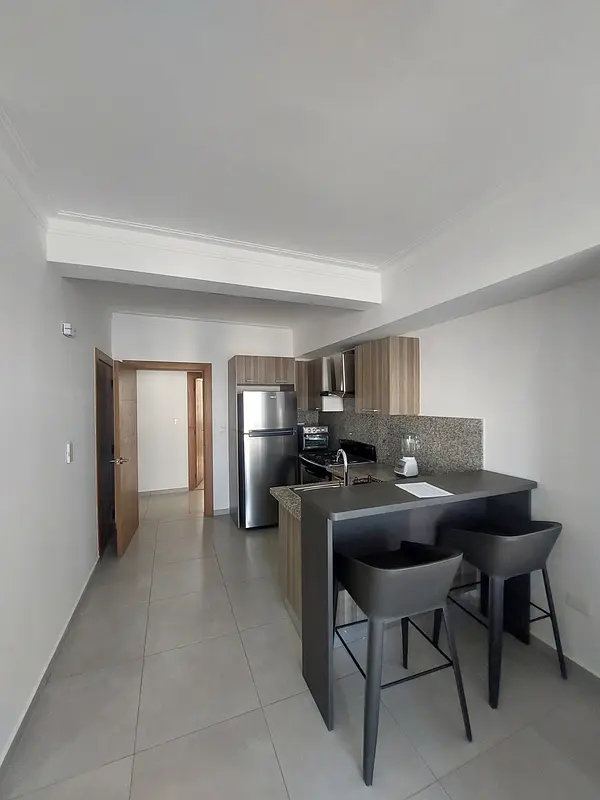 apartamentos - Apartamento amueblado Av. Mexico 4