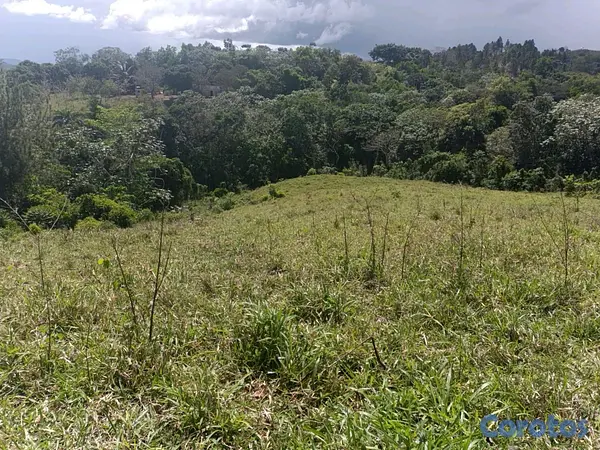 solares y terrenos - finca de 182 tareas en Monte Plata  2