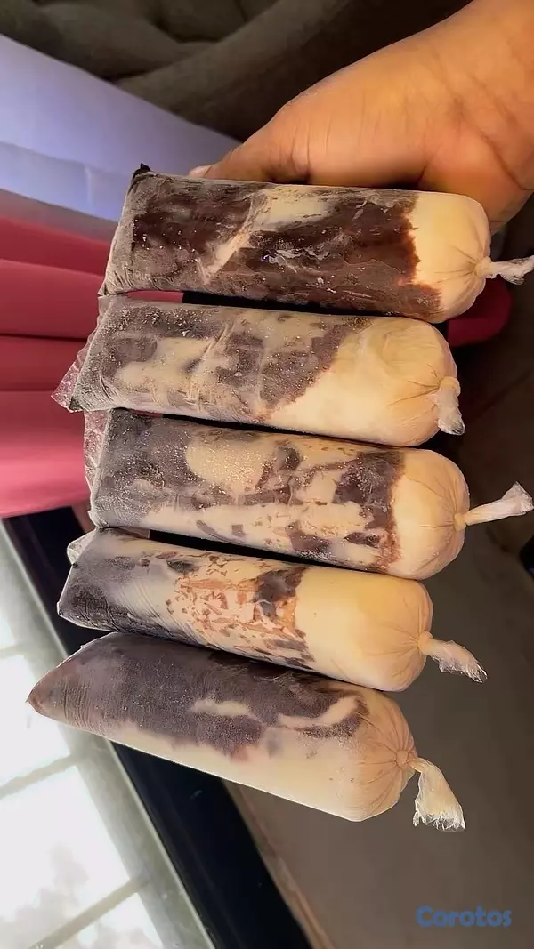 cocina - helados naturales CyR el verdadero sabor  17