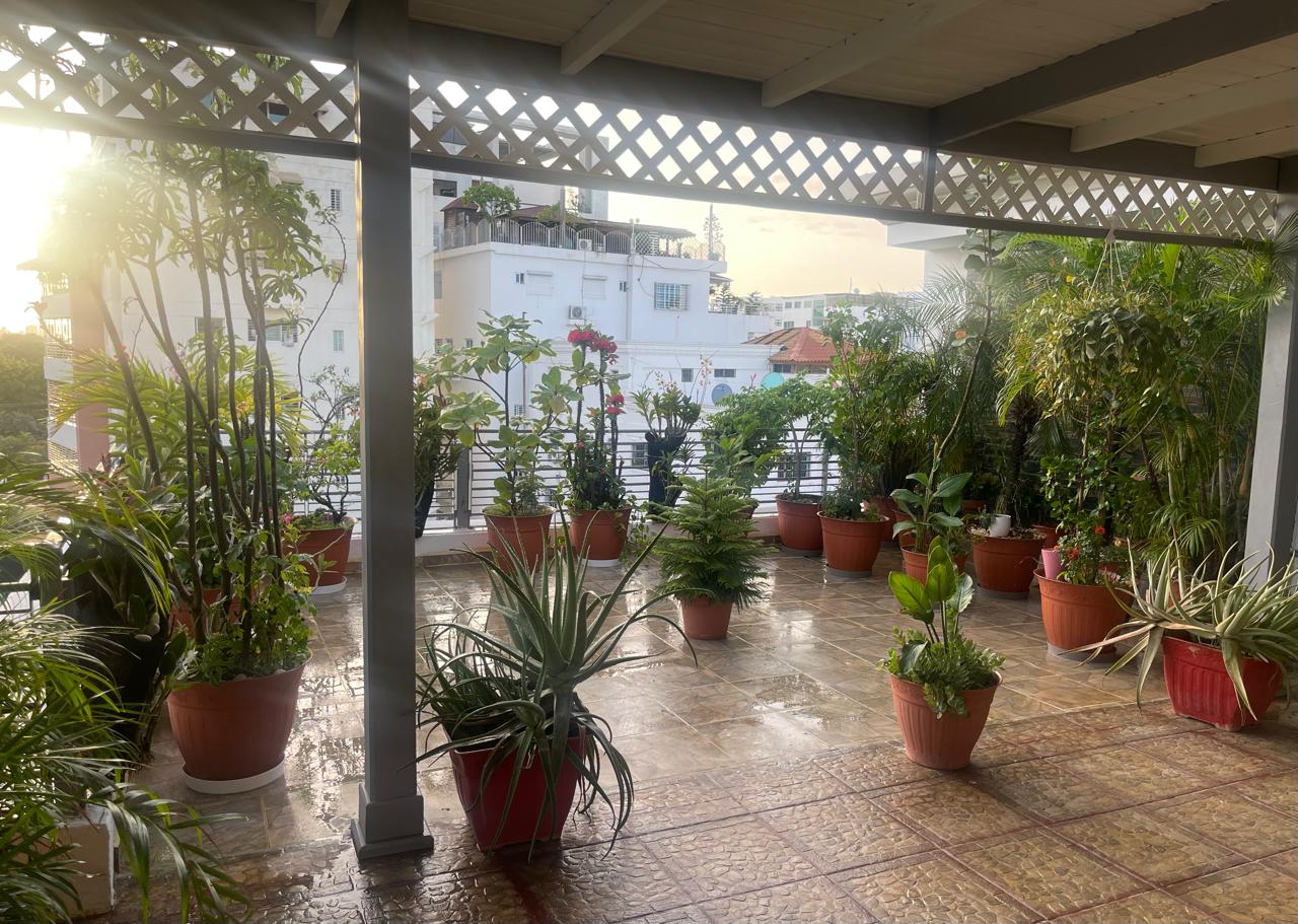 apartamentos - 5to Piso Sin Ascensor Bella Vista Amueblado FULL 7