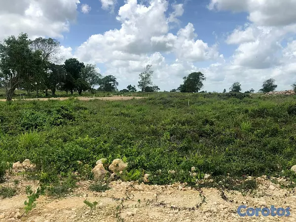 solares y terrenos - Solar en venta en punta cana 4