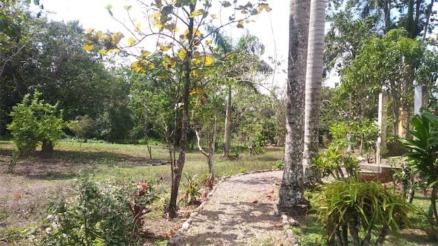 solares y terrenos - Finquita 15 tarea en bayaguana cerca del Balneario Salto Alto