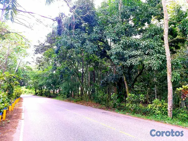 solares y terrenos - Jarabacoa 18,000 M2,  3
