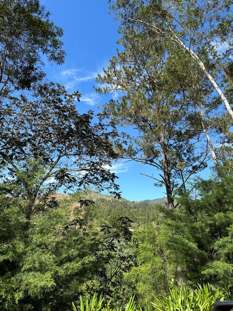 solares y terrenos - Colinas del Bosque, Solares Las Montañas de Constanza  2