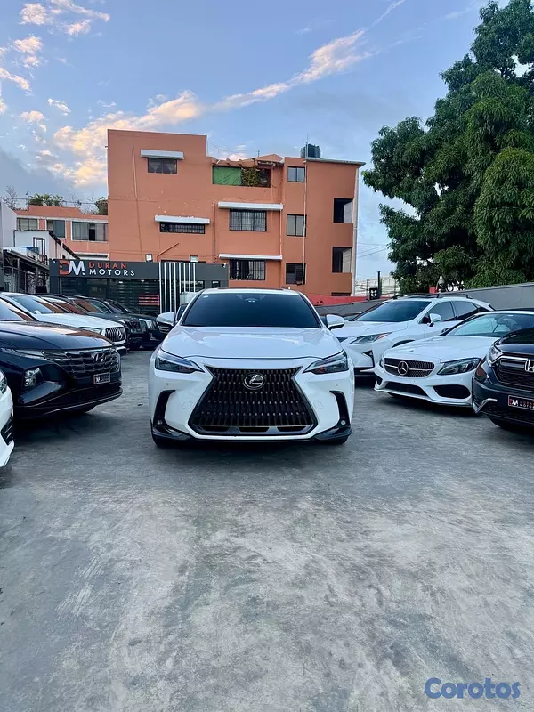 jeepetas y camionetas - Lexus NX-250 AWD 2023 2
