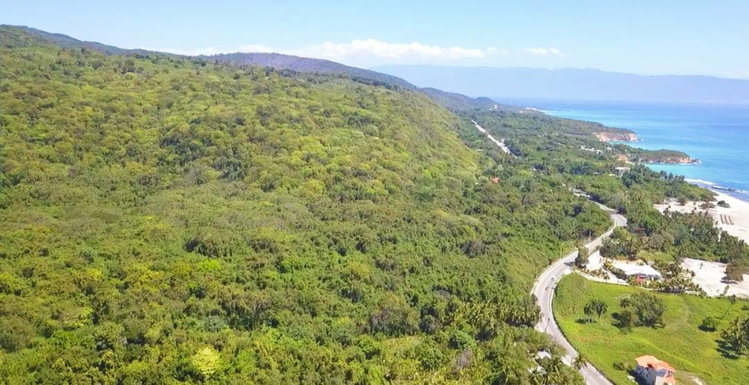 solares y terrenos - Terreno 180,000 mts en Barahona  1