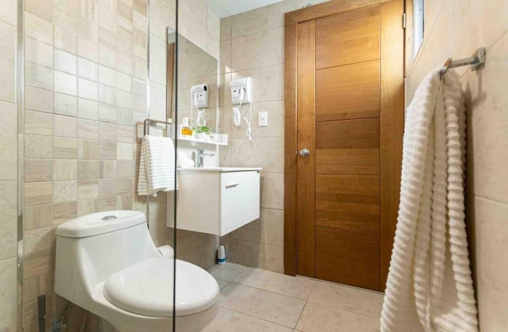 apartamentos - Apartamento amueblado full en alquiler en Evaristo Morales 6