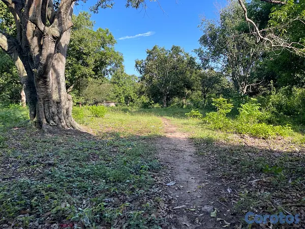 casas - Oportunidad! 38,000 m² en Nigua - Ideal para Naves o Parqueo 6
