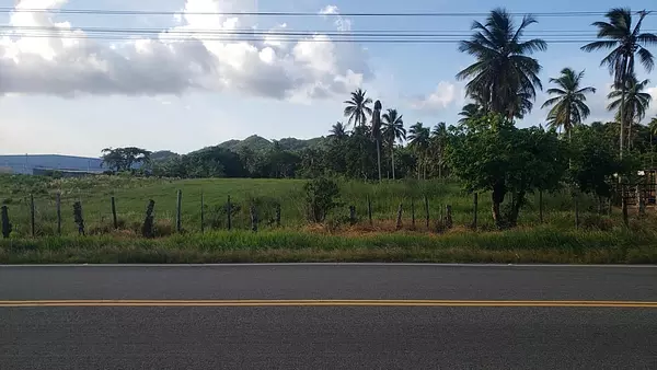 solares y terrenos - Solar en venta en Sanchez - Samana 5