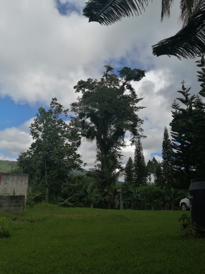 casas vacacionales y villas - Vendo mejora en La montaña de san Cristobal 
La colonia  5