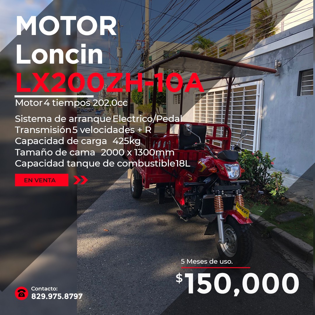 motores y pasolas - MOTOR DE CARGA LONCIN LX200ZH-10A