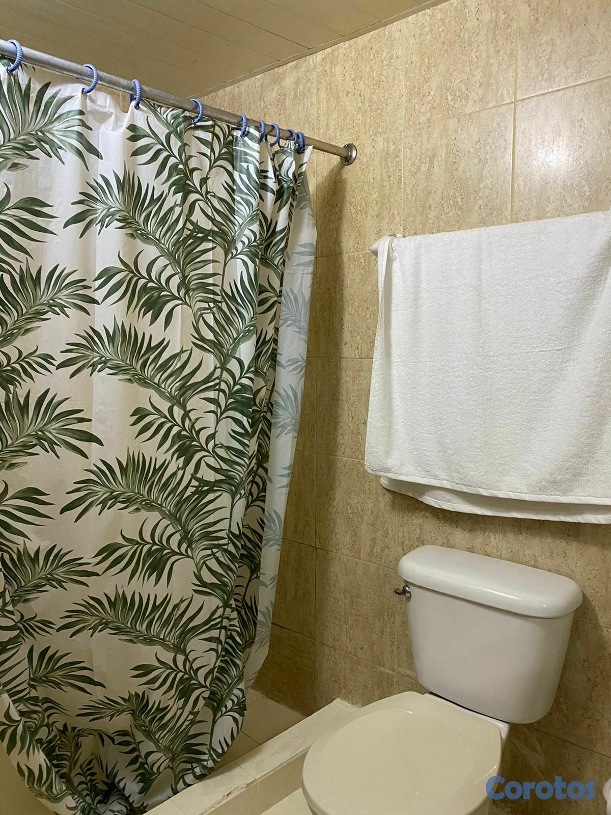 apartamentos - Alquiler Apartamento 1 Habitación, Zona Colonial 9