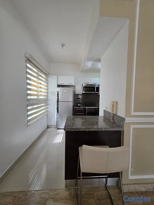 apartamentos - Apartamento en alquiler amueblado, Piantini 7