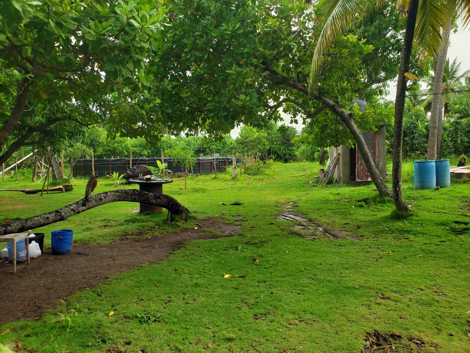 solares y terrenos - ¡Oportunidad única en Paya, Baní! Terreno de 2,515 3