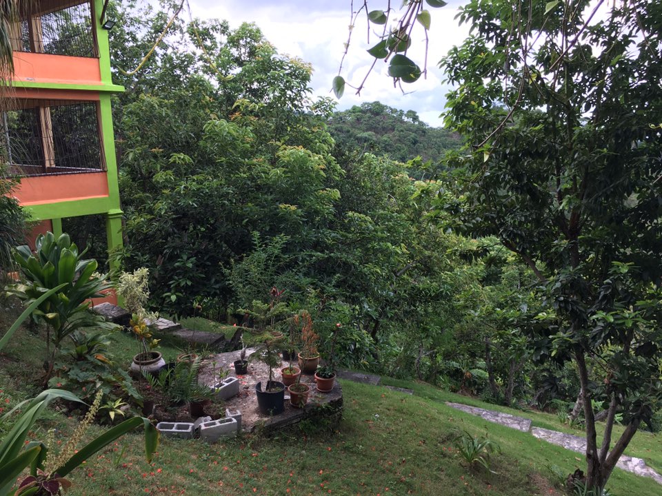 casas vacacionales y villas -  Casa de veraneo en la montaña de san Cristibal La colonia 