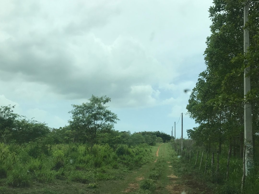 solares y terrenos - Finca en Boca Chica (260 tareas)