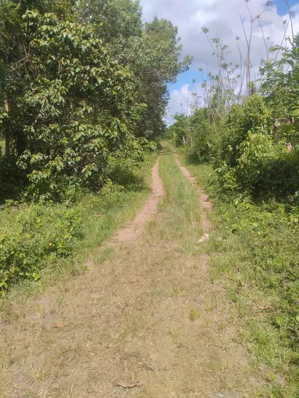 solares y terrenos - finca de 53 tareas en monte plata  6