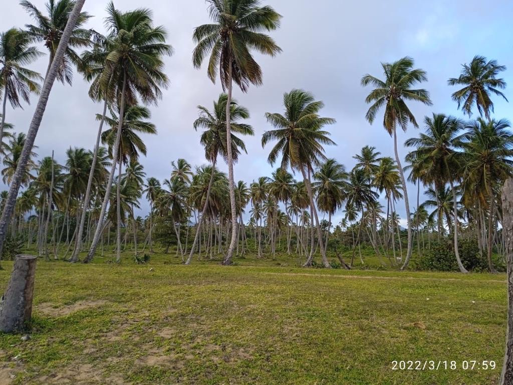 solares y terrenos - Vendo 30,000,000 Mts2 En Bavaro punta cana con 4 km. De playa us$ 70 2
