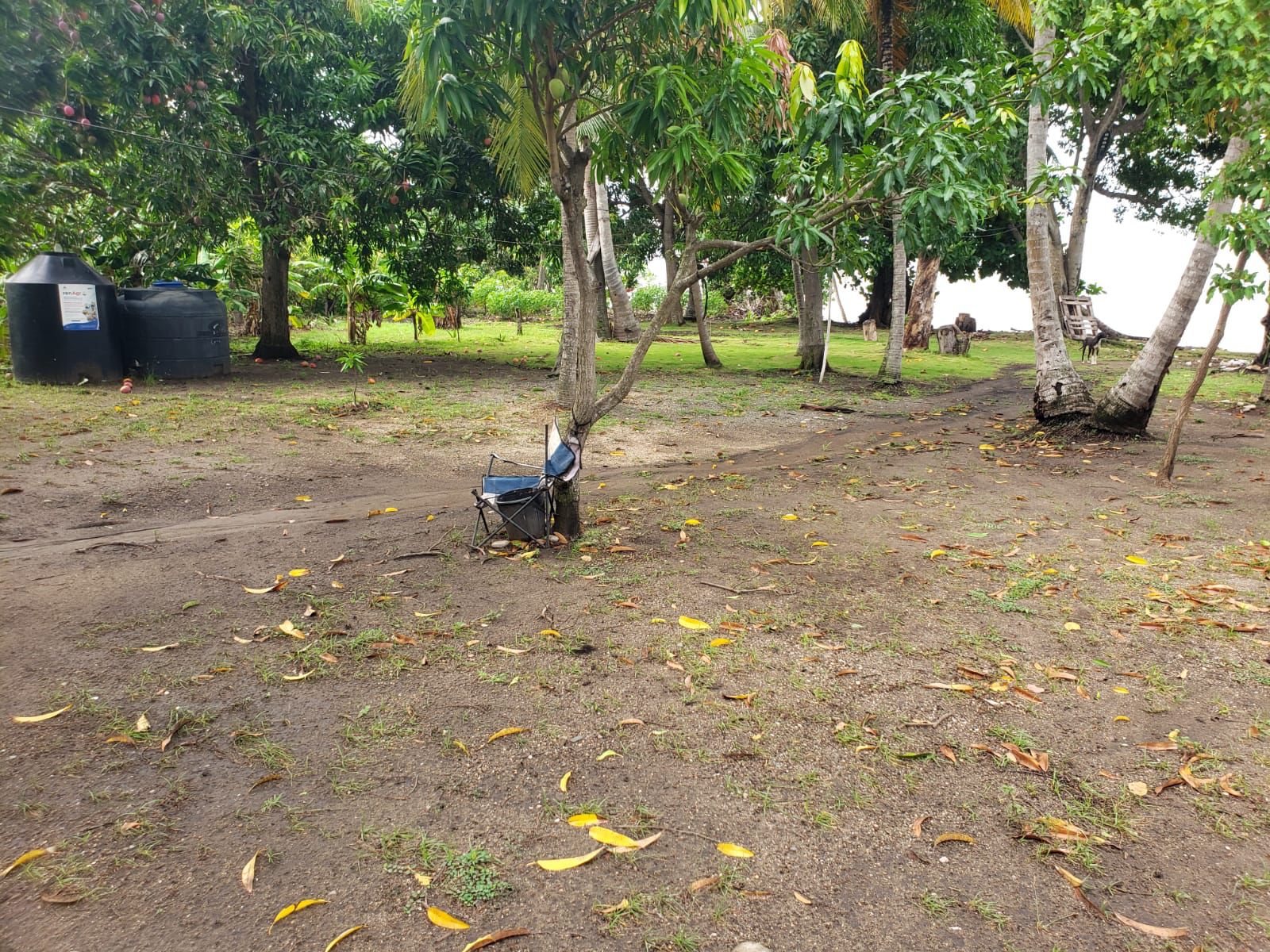 solares y terrenos - ¡Oportunidad única en Paya, Baní! Terreno de 2,515 4