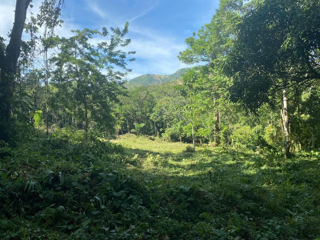 solares y terrenos - Finca en la Cumbre, Arroyo Vuelta Arriba 0