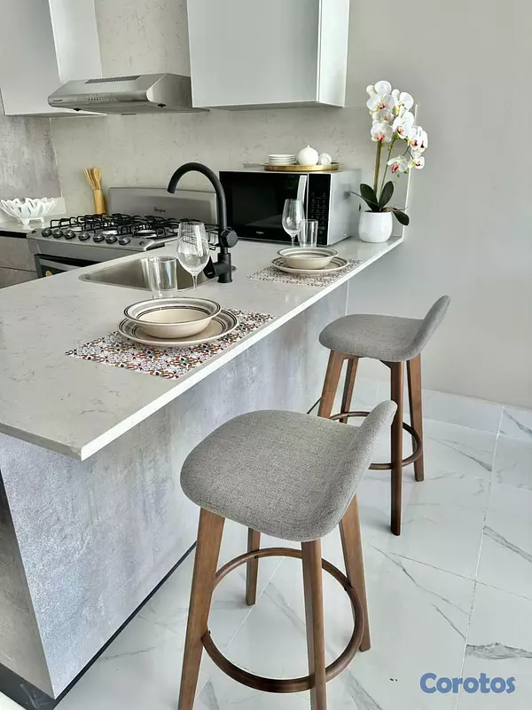 casas - Apartamento Alquiler Amueblado Piantini  4