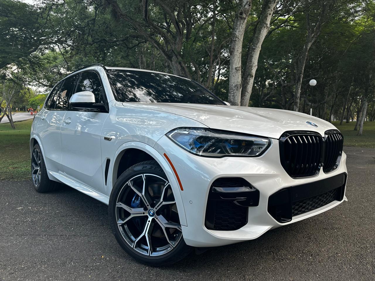 jeepetas y camionetas - bmw x5 2022 1