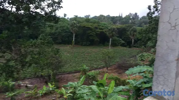solares y terrenos - Venta de finca con edificación comercial / residencial 3