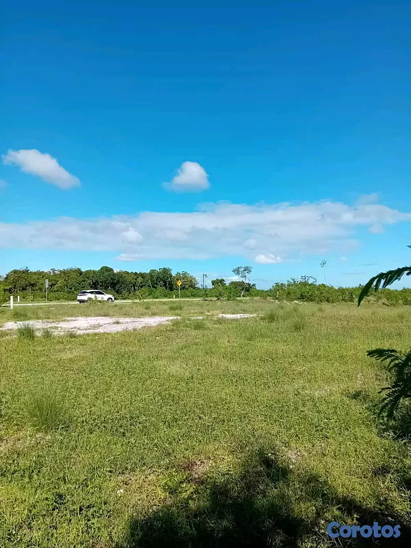 solares y terrenos - Venta de Terreno ( Cap Cana)  3