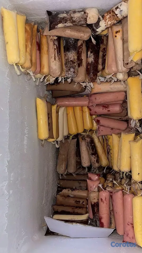 cocina - helados naturales  18