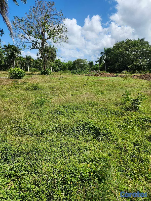 solares y terrenos - 🌿 Terrenos en Venta – Muñoz, Puerto Plata 📍 1