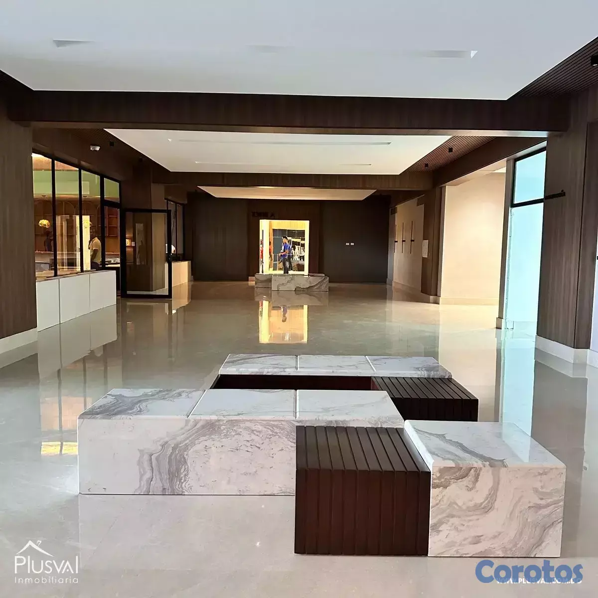 oficinas y locales comerciales - Torre Corporativa de Lujo en Piantini con locales  6