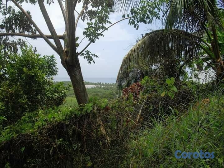 solares y terrenos - Terreno Las Terrenas 3