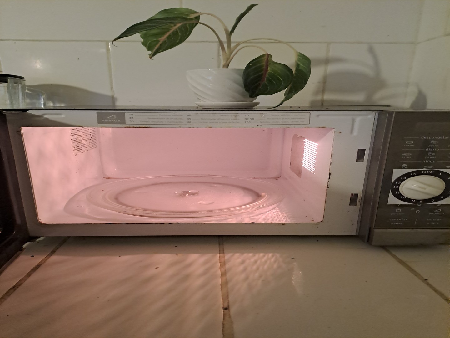 cocina - Microondas 1.1