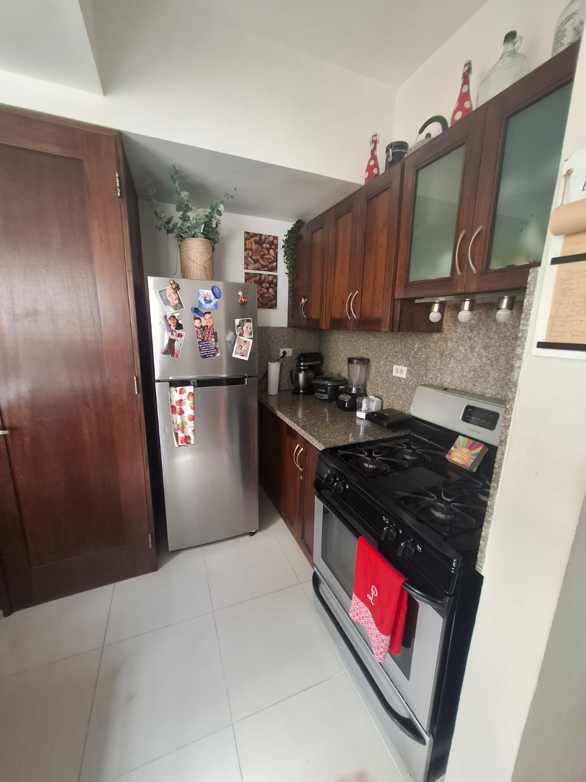 apartamentos - Apt estudio en Arroyo Hondo Viejo 1