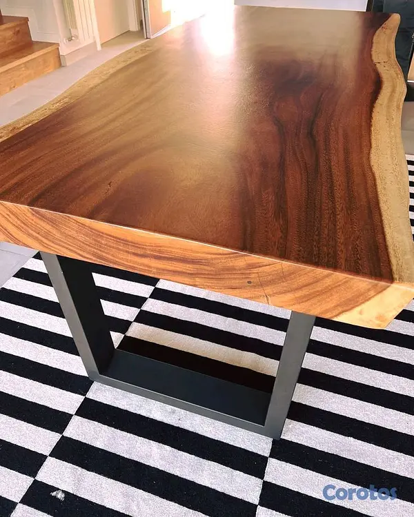 decoración y accesorios - 1111111 6