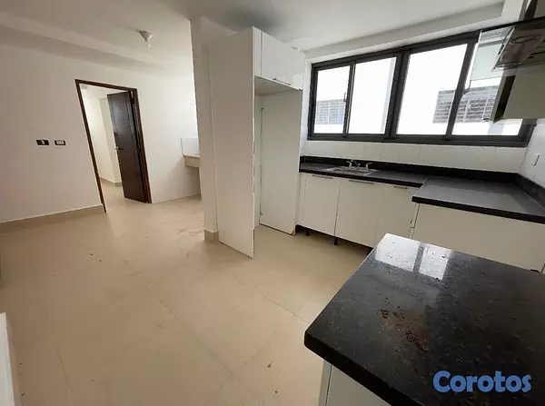 penthouses - Penthouse en naco de 3 habitaciones con terraza 9