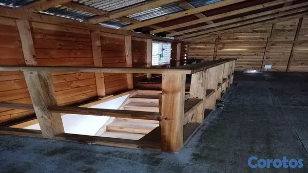 casas - Casa de 3 habitaciones en venta en Constanza 5