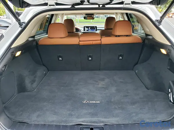jeepetas y camionetas - Lexus RX350 2021  10