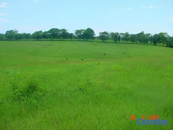 otros inmuebles - Finca en Venta Ubicada en San Pedro de Macorís Macoris 4