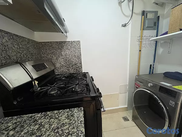 apartamentos - Apartamento en Alquiler en Naco Amueblado de UNA H 2