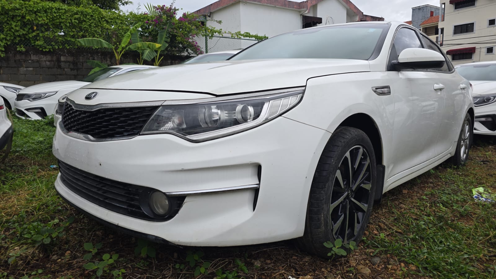 carros - Kia k-5 2019 blanco  1