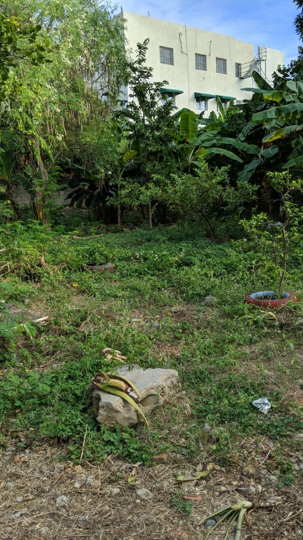 solares y terrenos - Solar para proyecto residencial Tropical del Este 2