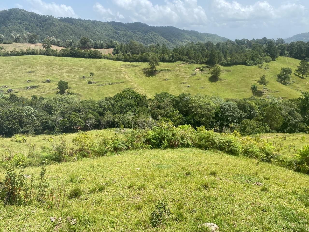 solares y terrenos - vendo finca en Jarabacoa 