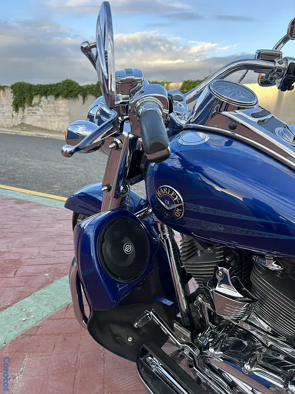 motores y pasolas - Road King CVO 2013 5