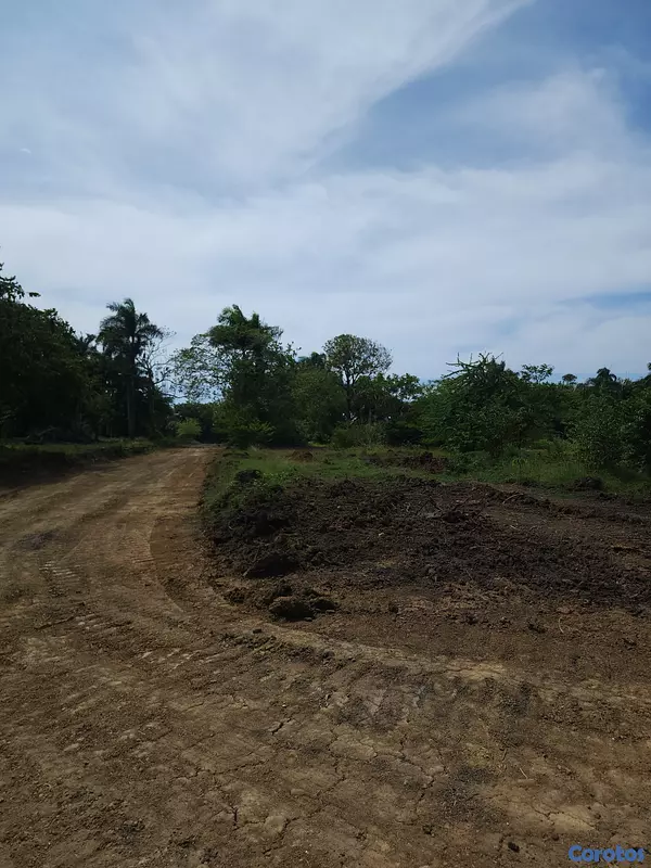 solares y terrenos - 🌿 Terrenos en Venta – Muñoz, Puerto Plata 📍 2